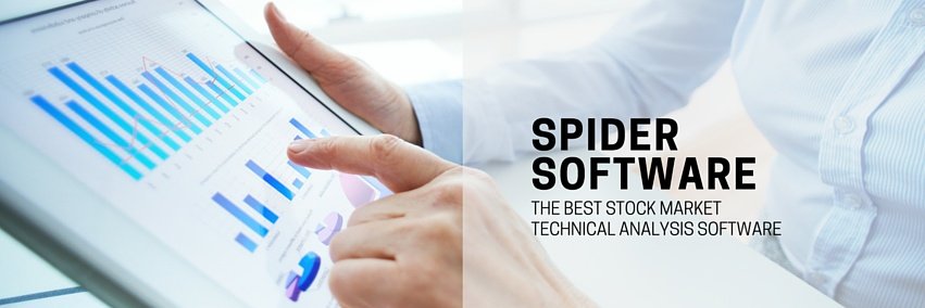 T R A D E W I S E banner