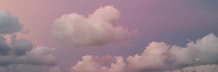 molerose_'s profile banner image