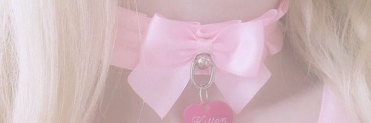 pp banner