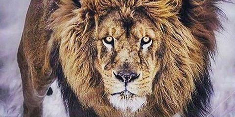 That_Davis_Boy's profile banner image