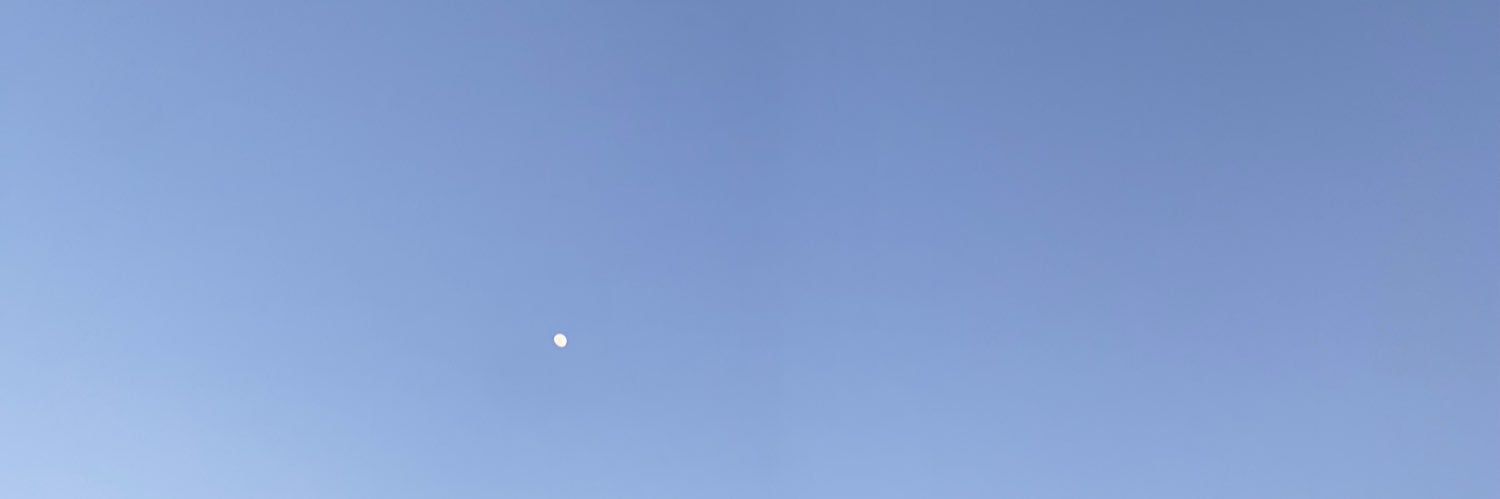 نوفي banner