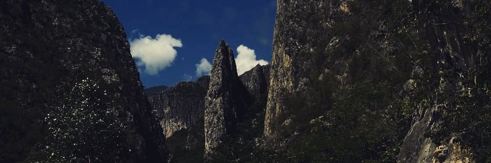 naderflosky's profile banner image