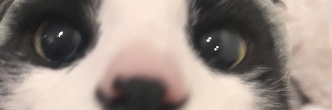 eya°ᡣ𐭩.°. banner