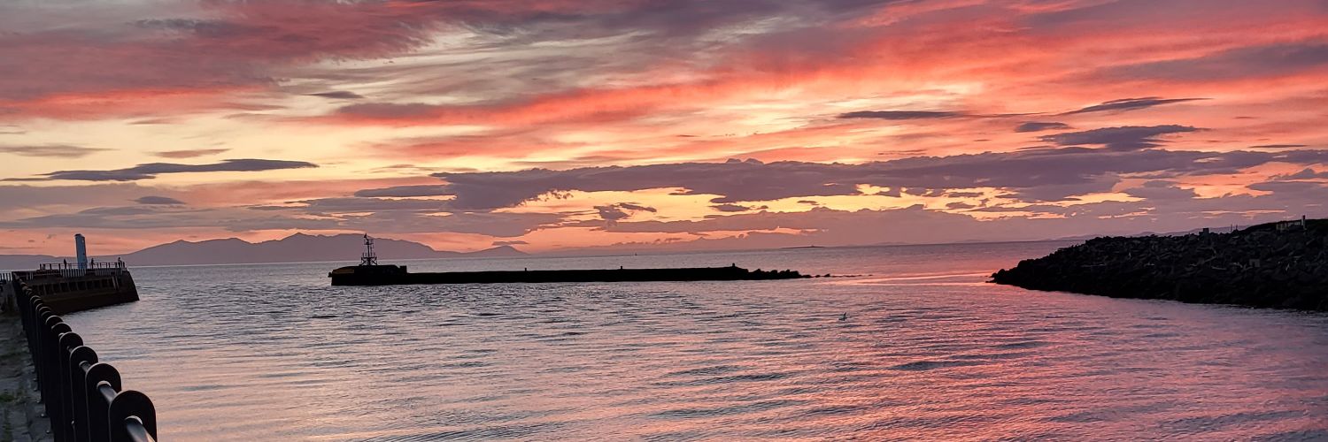 Sally Amor 💜 banner