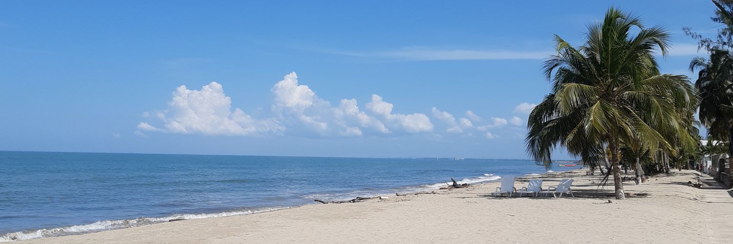 MayiFierro's profile banner image