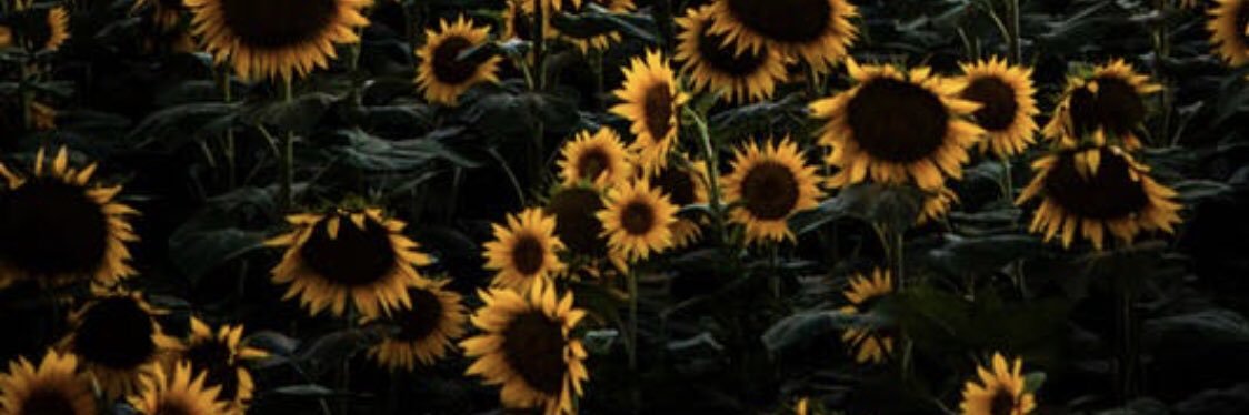 alyssa_fielding's profile banner image