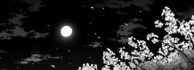 chibilunaaa74's profile banner image