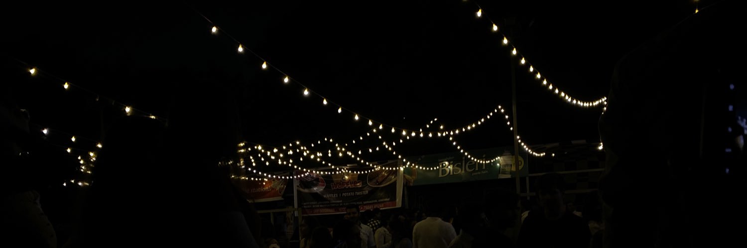 vvaishaliii's profile banner image