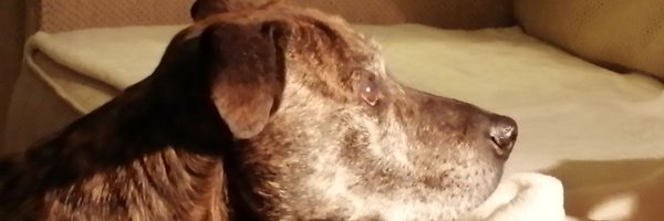 LorraineToal Profile Banner