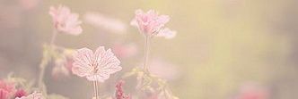 rfmras's profile banner image