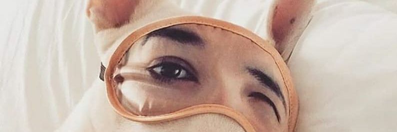 bacon1029k's profile banner image