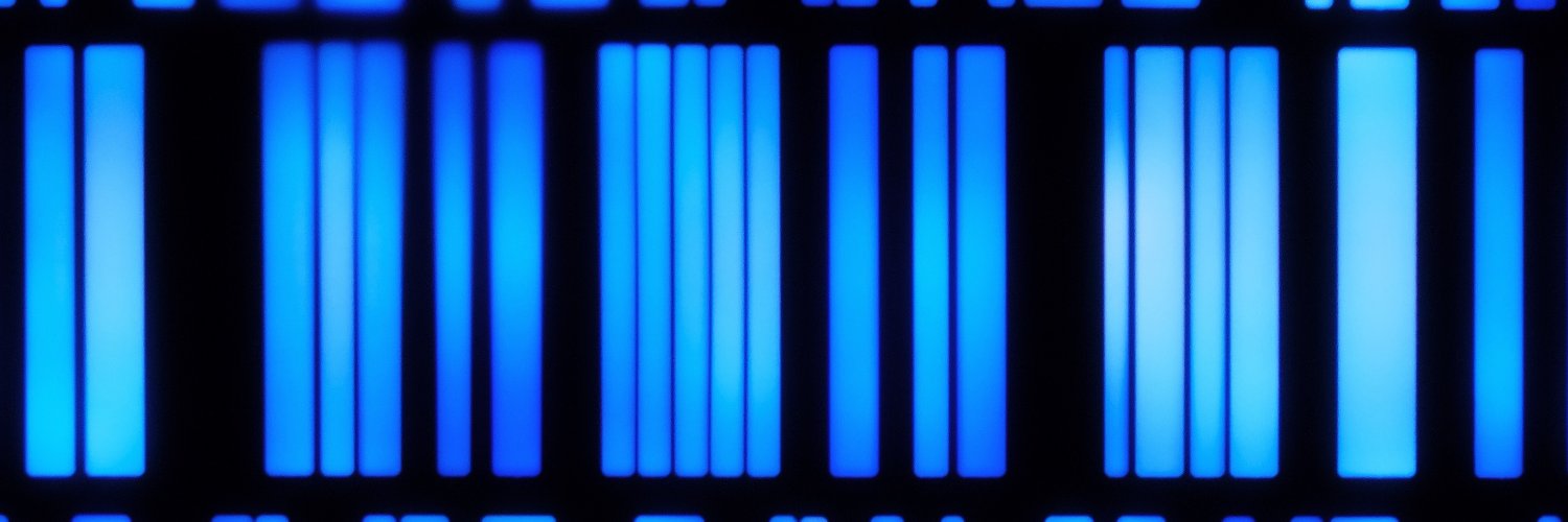 Elizabeth Tapia banner