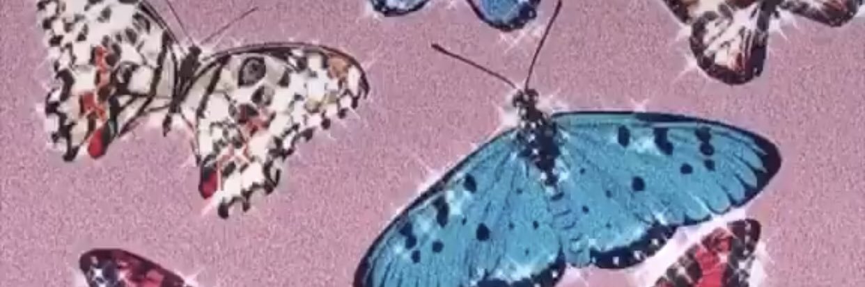 KaylonieS's profile banner image