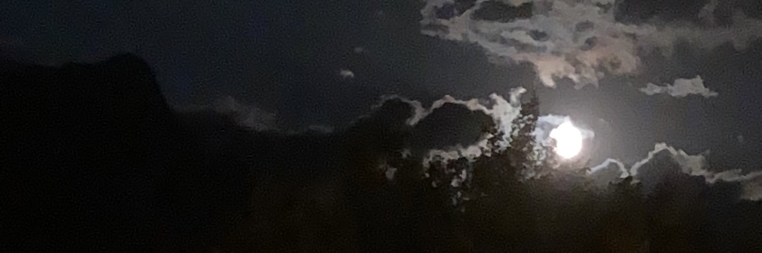 stfuginevra's profile banner image