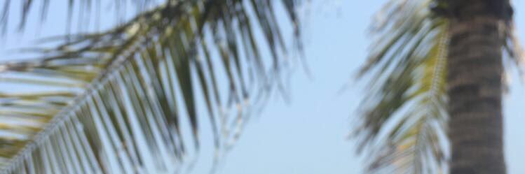 178c78's profile banner image
