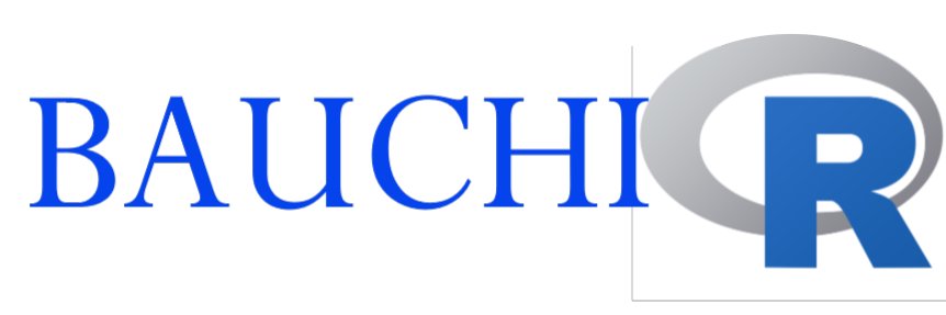 Bauchi RUG banner