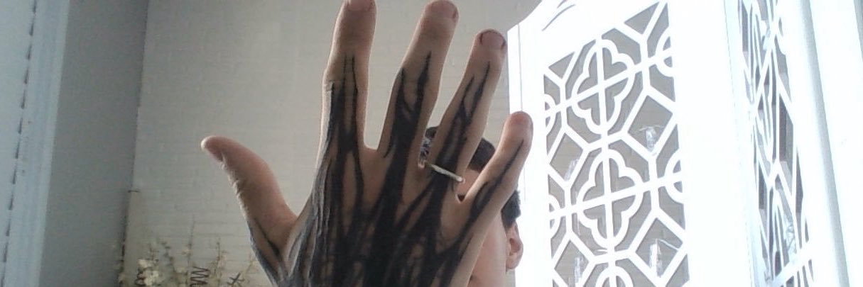 sevlanimsay's profile banner image