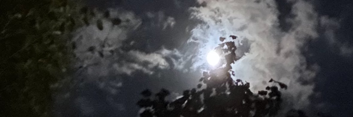 Νικόλας Κάιζερ's banner