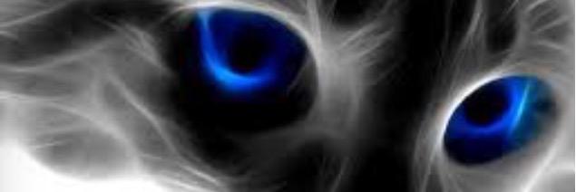 ddgalle's profile banner image