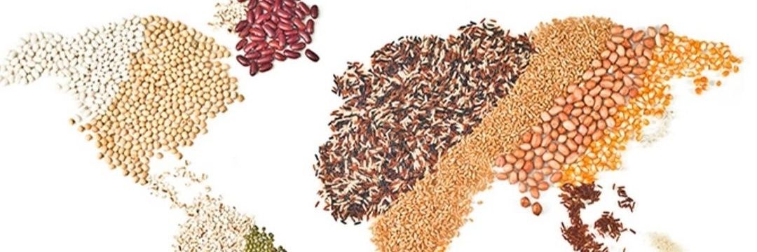 PlantBasedEcon's profile banner image