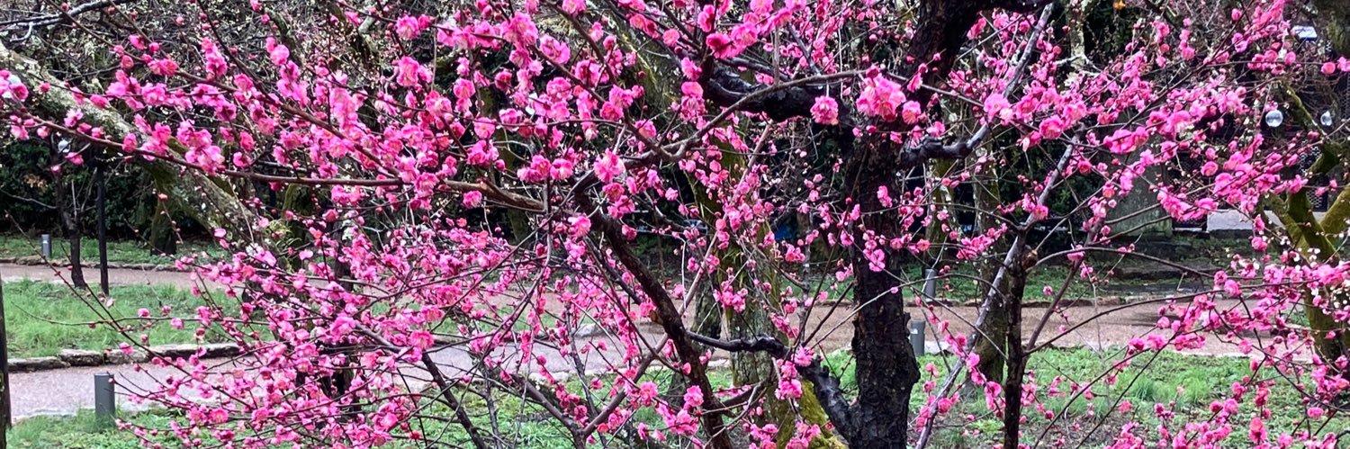 てん☆どん　エリーちゃん banner