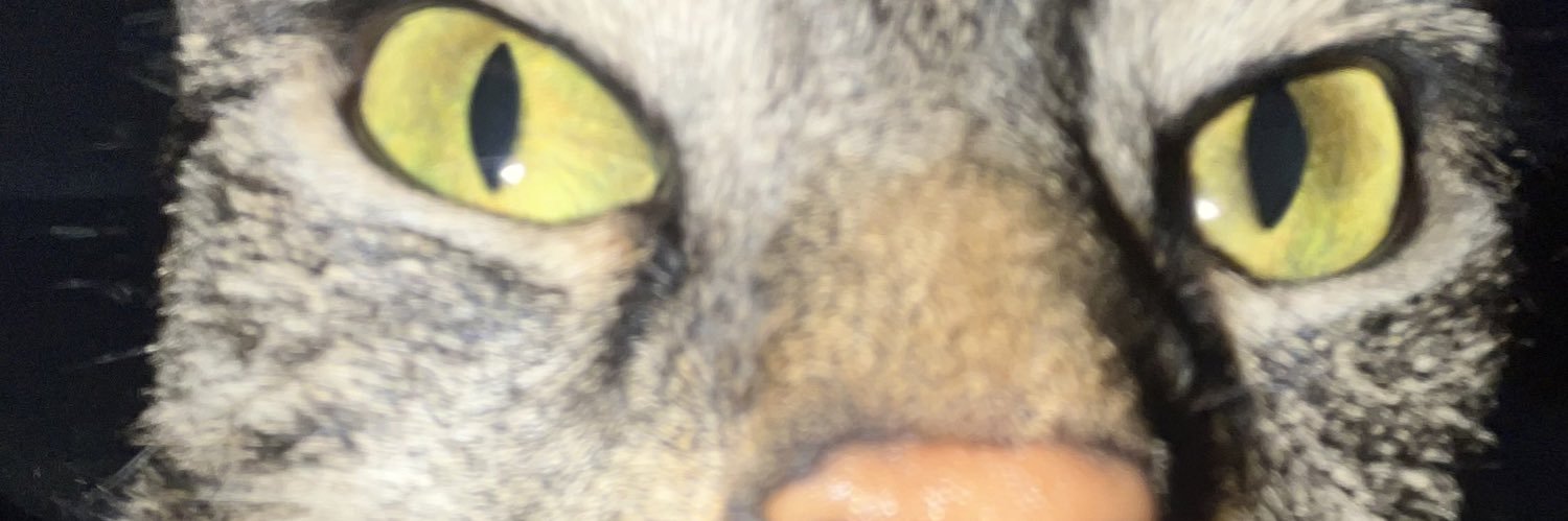 urmommyscrib's profile banner image