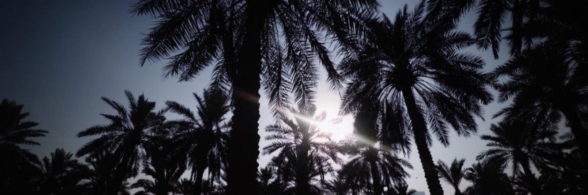 دانـه •ش banner