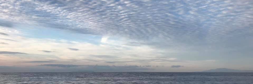 BRKのMarkちゃん banner