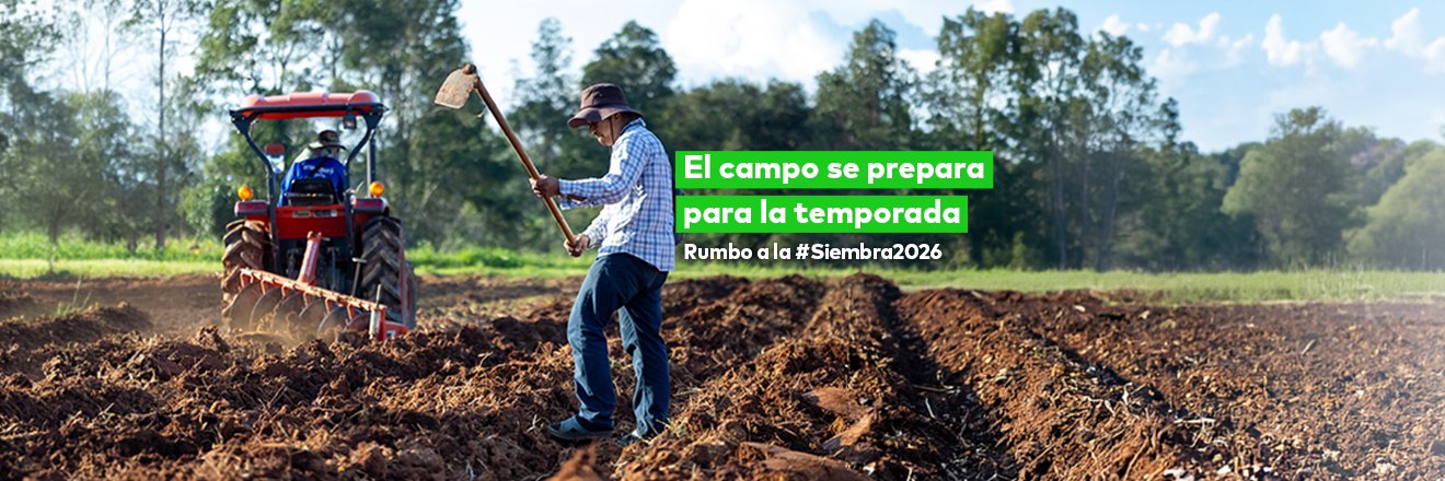 cambiagro's profile banner image