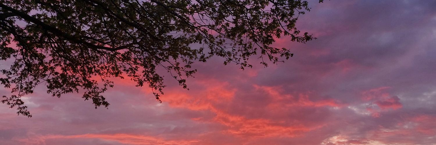 cmoimae08's profile banner image