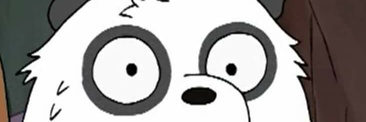 pandaszms's profile banner image
