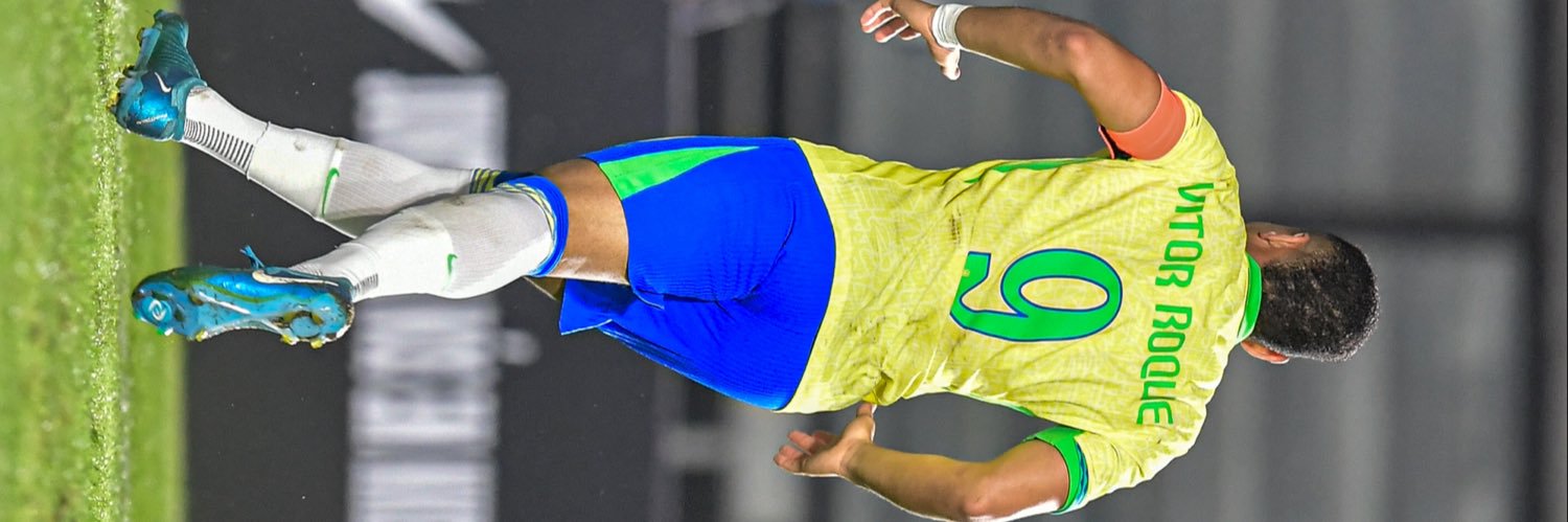 Vítor Roque / Tigrinho🐅 banner