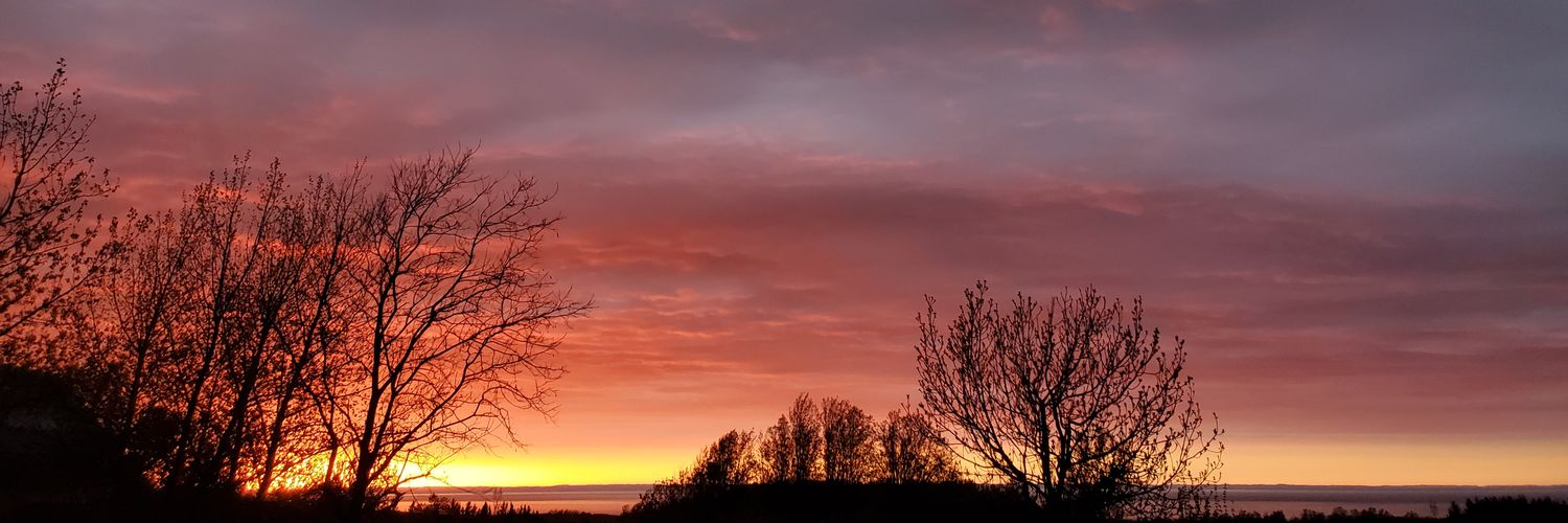 amicalmant's profile banner image
