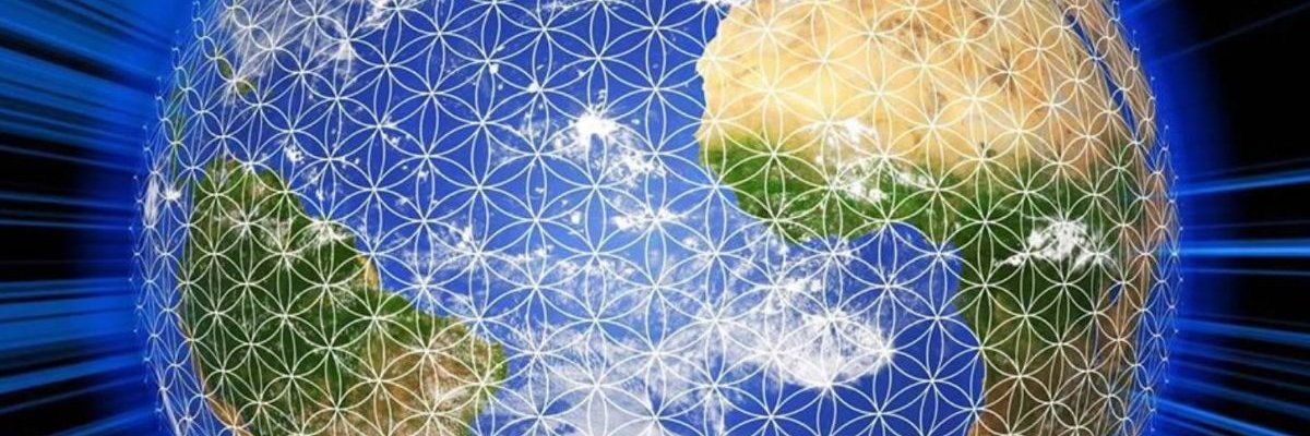 Ⓥ TREE BEAR Ⓥ banner