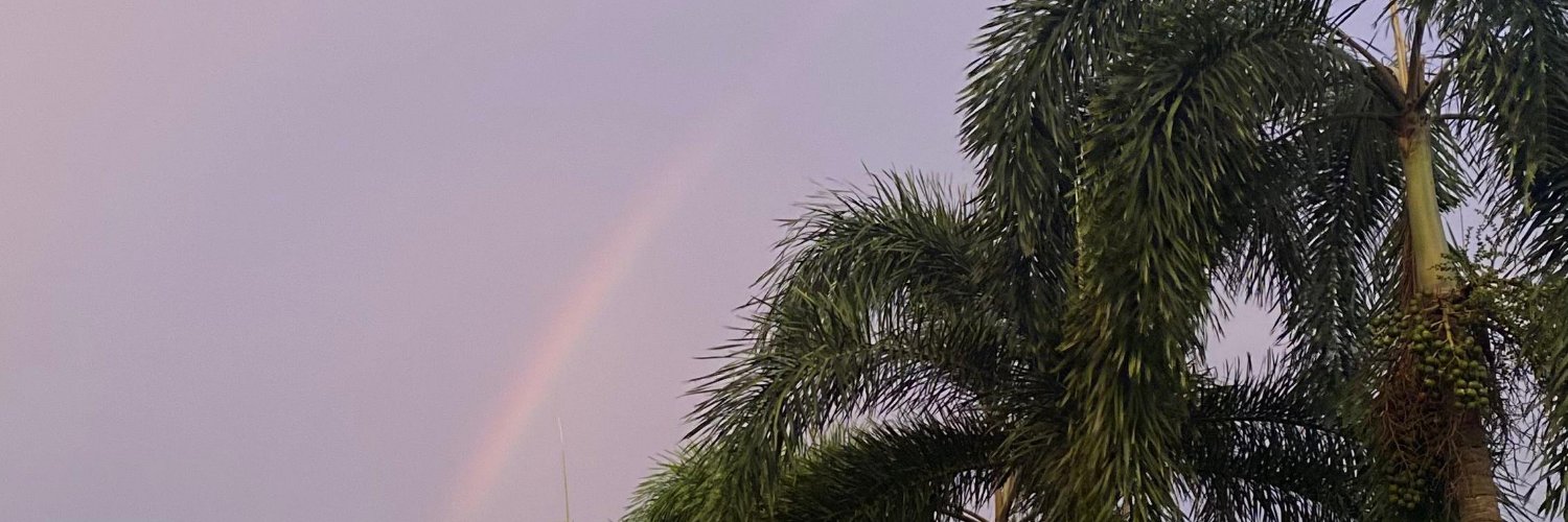 halomayo0o's profile banner image