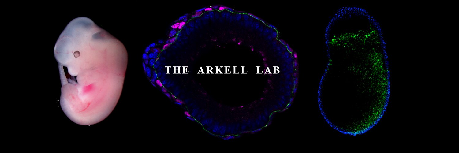 The Arkell Lab banner