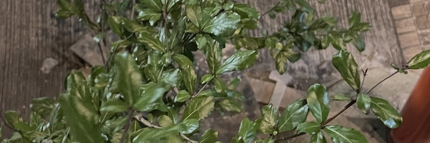 titaa banner