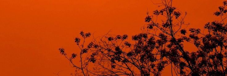 lNTERPRETASl's profile banner image