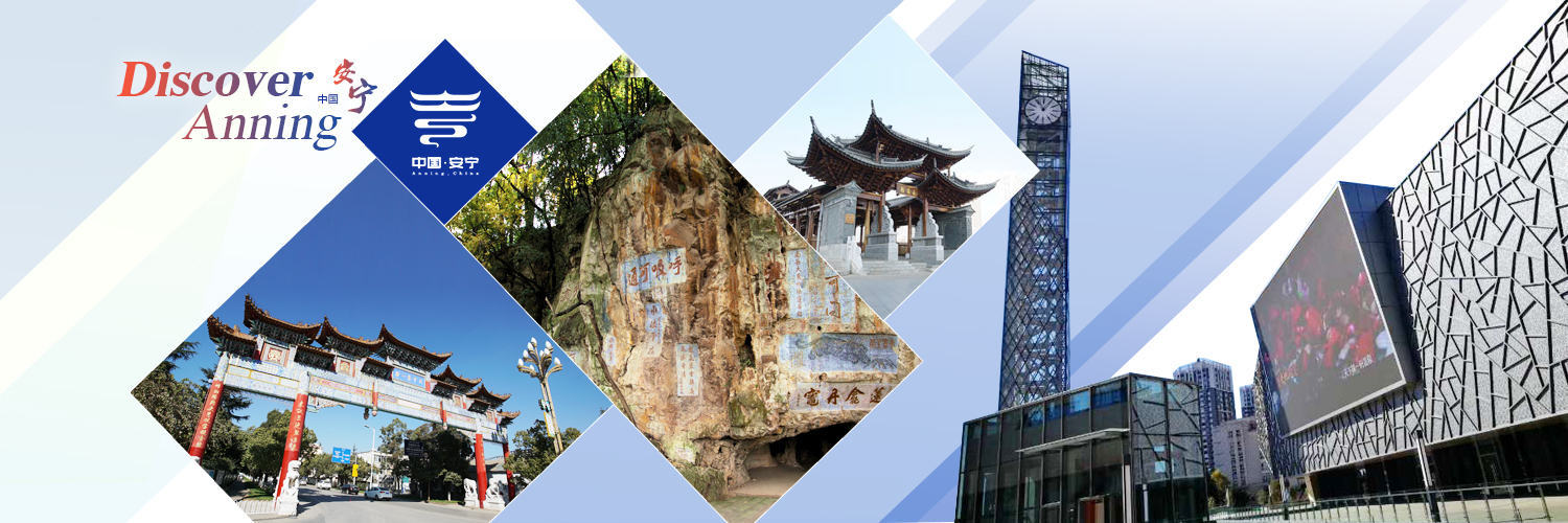 Discover Anning banner