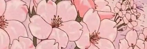 iAnaCarolinaB's profile banner image