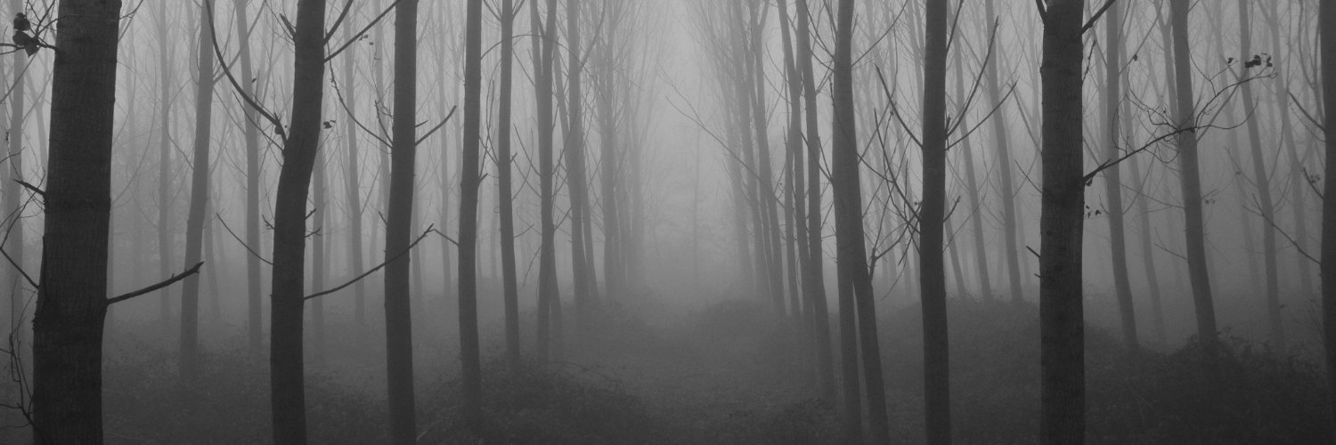 fr75416490's profile banner image