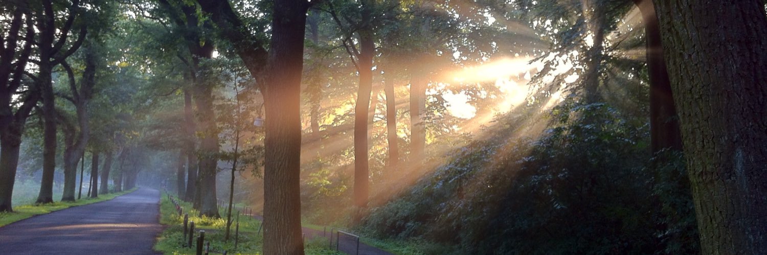 Dr. David Koebel🎗️ banner