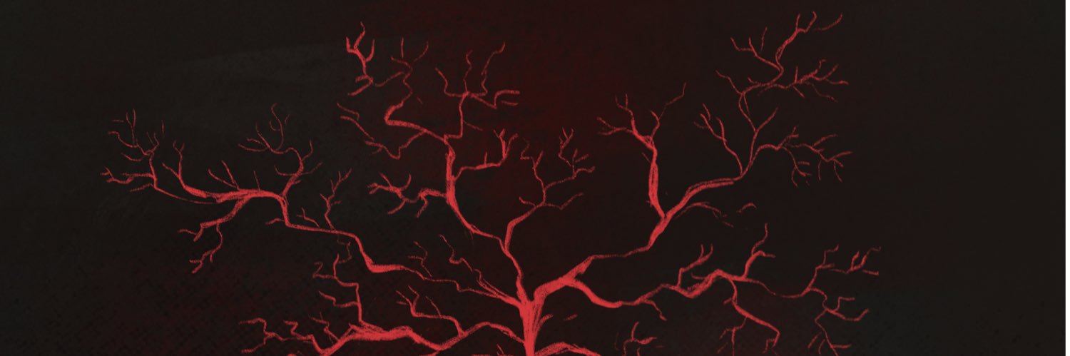 fløq ⊬ 👻 banner