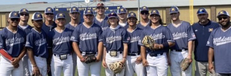 Michigan Wildcats 17u banner