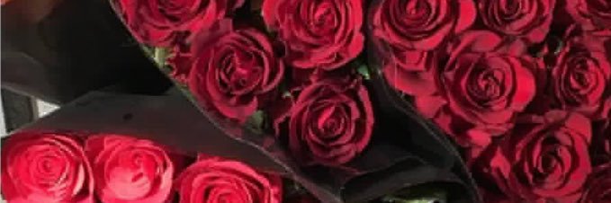 _Bsh43's profile banner image