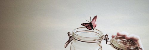 Novia Dwi Nur'Asih banner