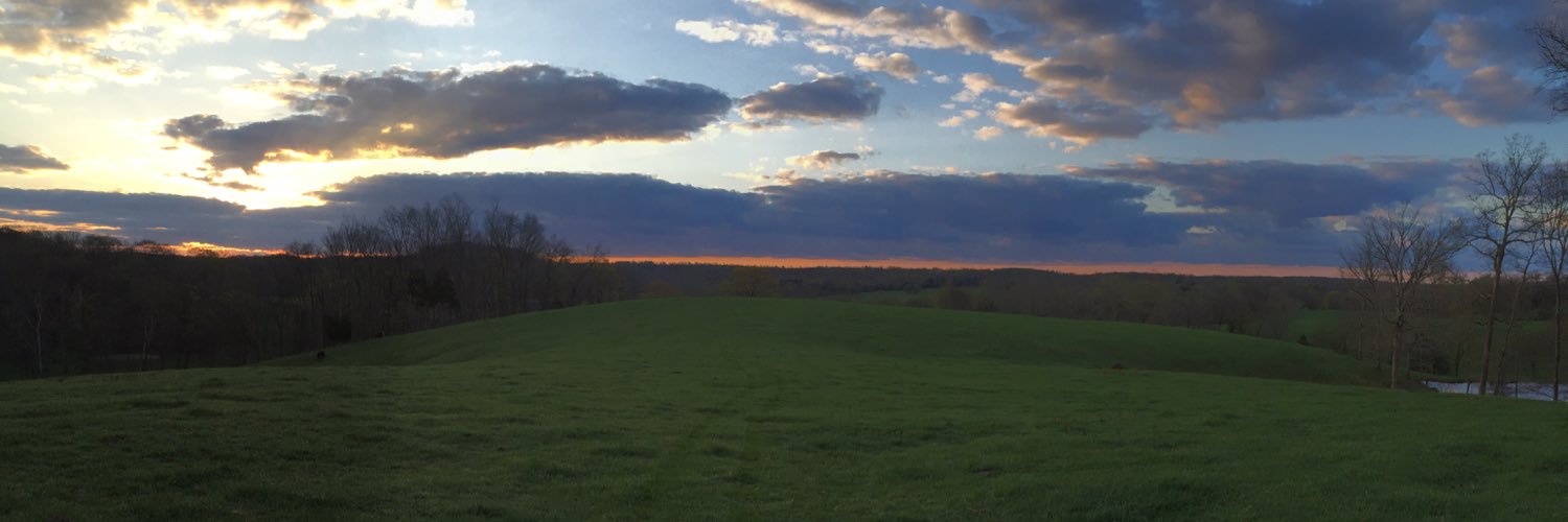 nlill's profile banner image