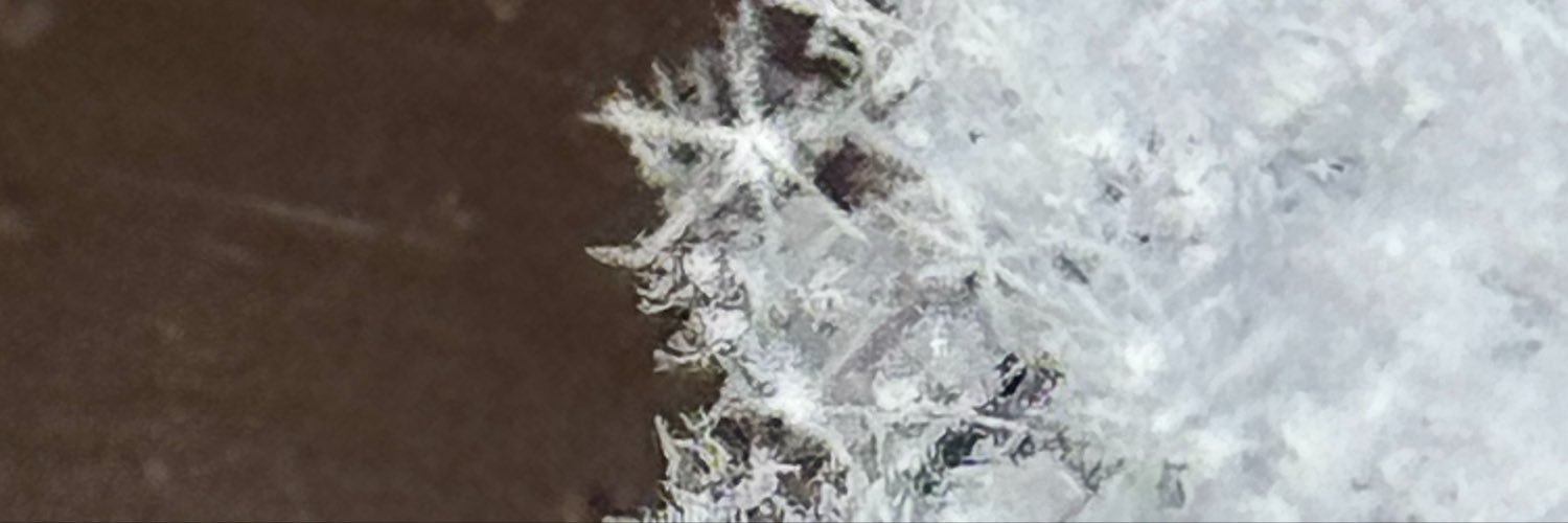 mayumi121's profile banner image