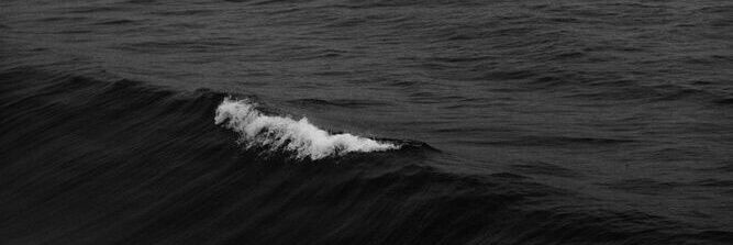 jarw. banner