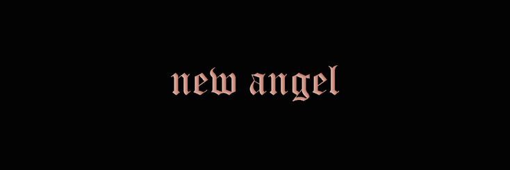 Celle Azalea banner